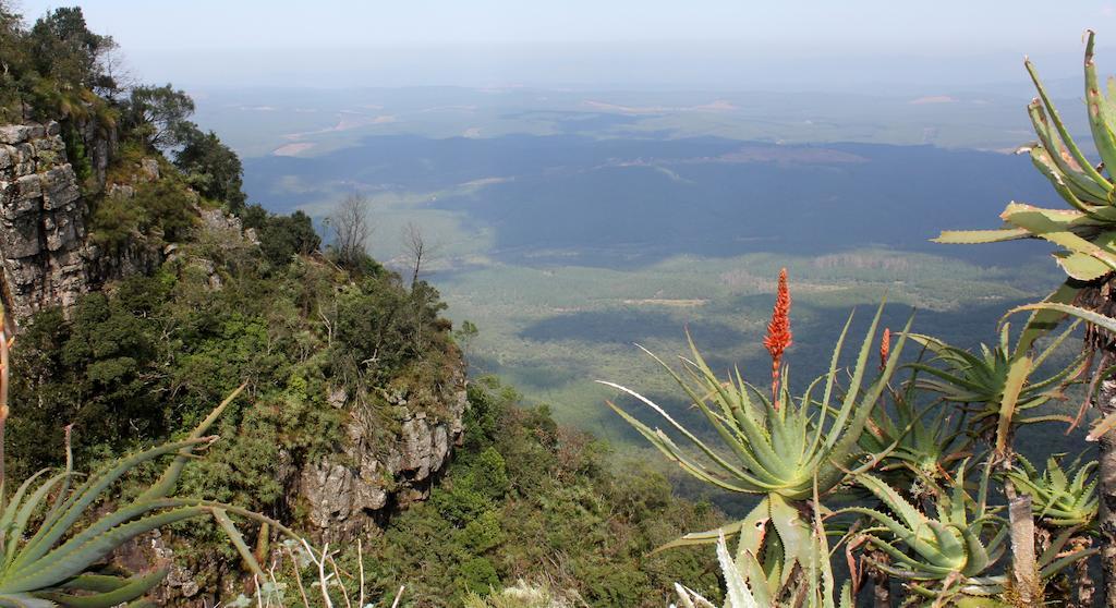 The Sabie Town House Guest Lodge Esterno foto